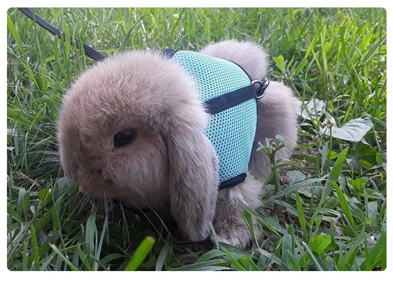 Rabbit Harness and Leash Set Bunny Pet Accessories Vest Harnesses Rabbit Leashes for Outdoor Walking Pets Supplies