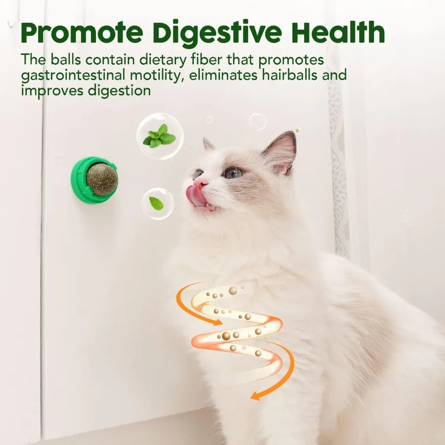 Catnip Balls Toys 4 Pcs Extra Energy Edible Silvervine Toys for Healthy Kitten Teeth Cleaning
