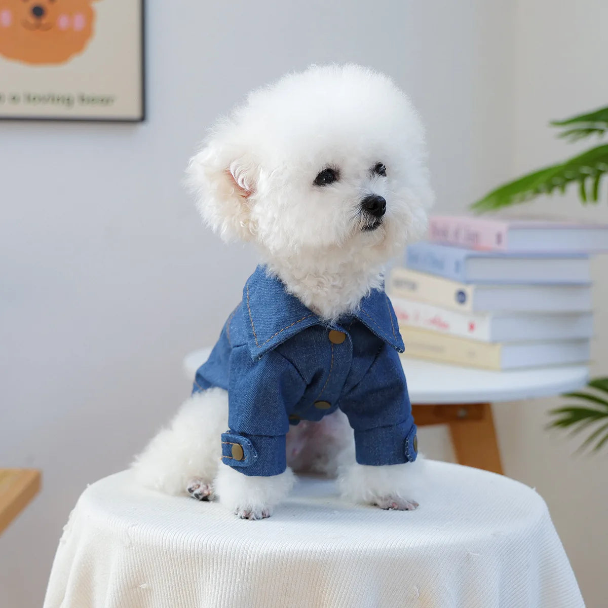 Pet Denim Vest Vintage Style Jean Jacket For Dogs Everyday