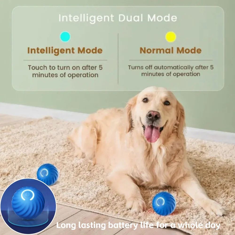 1 5 10PCS Blue Orange Pet Toy Ball Plastic Rechargeable Cat and Dog Toy for Home and Outdoors