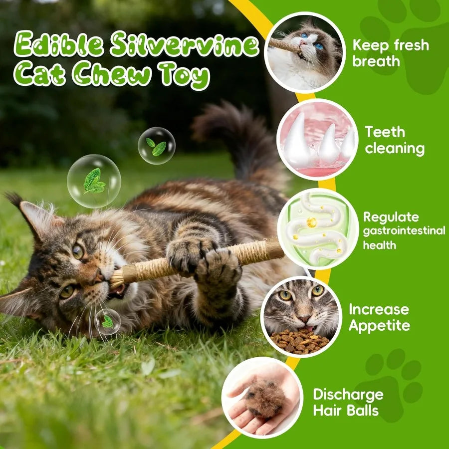 Silvervine Cat Chew Rope Toy With Refillable Catnip Bag For Teeth Cleaning