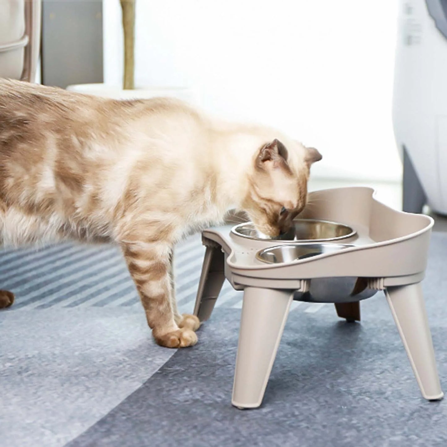 Raised Stand Elevated Dog Feeder Non Slip No Spill Design Stainless Steel Bowl Pet Supplies