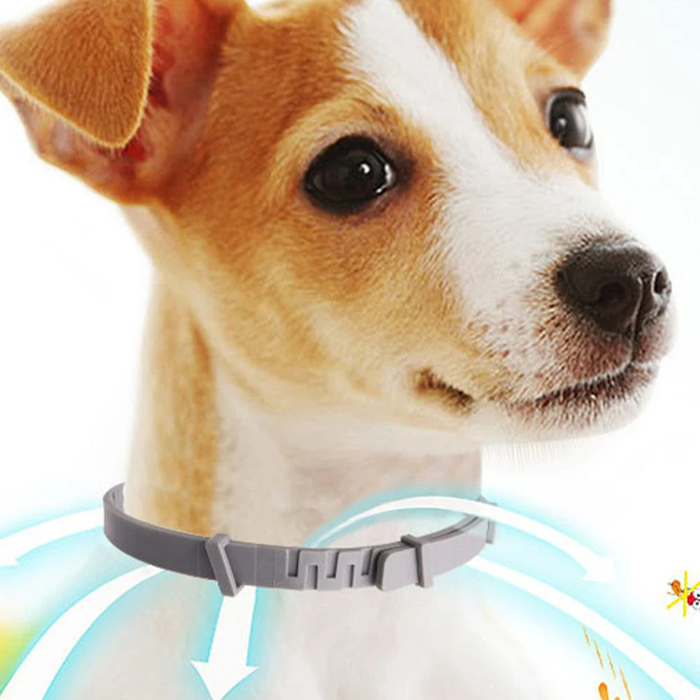 Shunmaii Dog Cat Calming Pheromone Collars Relieves Anxiety