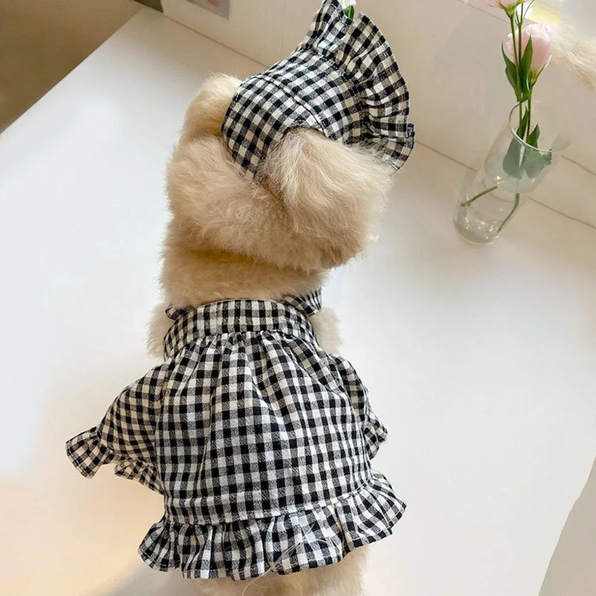 WAOPETCN Fashion Dog Clothes Plaid Skirt With Hat Set