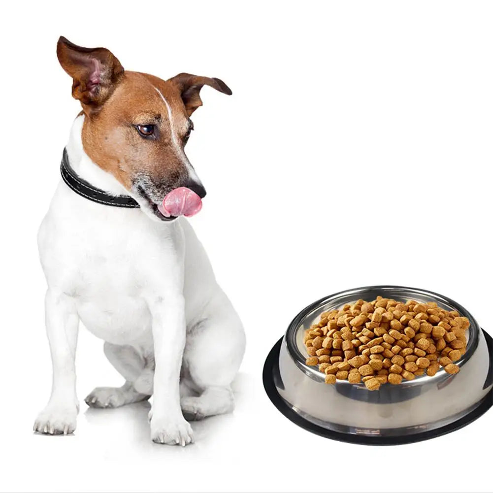 Large Capacity Cat Bowl Steel Pet Feeding Bowl Cat and Dog Food Drinking Bowl Metal Feeder Bowl and Cheap