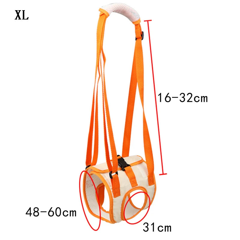 ZhejiangChoice Dog Hind Leg Belt Postoperative Rehab Aid