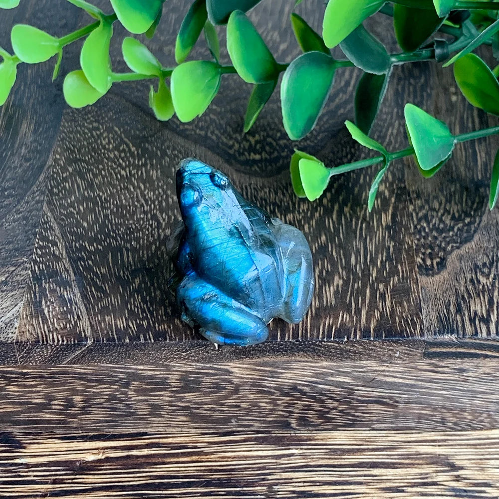 1PCS Frog Statue Natural Stones Room Ornament Hand Carved Reiki Figurine Labradorite Healing Crystals Aquarium Home Decor