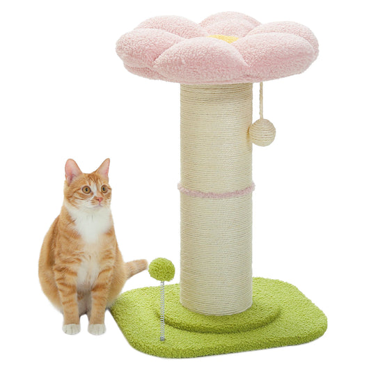 PAWZ Road Flower Cat Scratching Post With Removable Bed Indoor Cat Tower