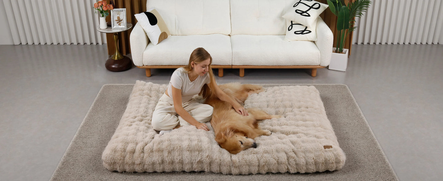 BORWARTCN Ultra Plush Dog Bed Soft Cushion Washable Mat