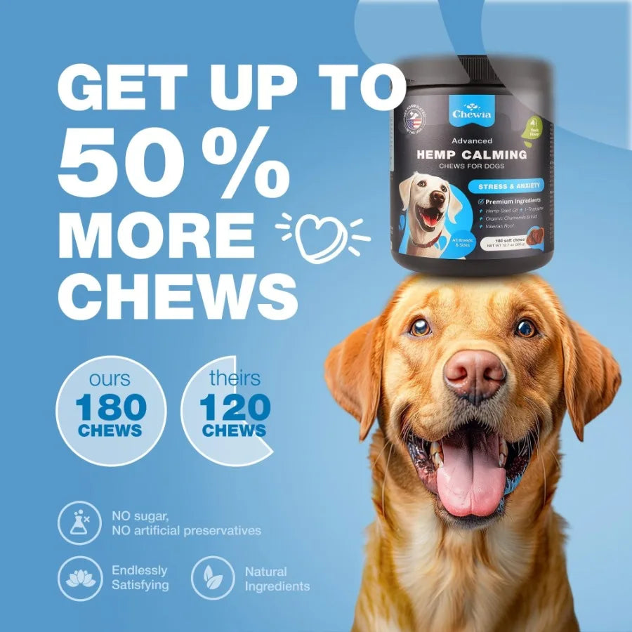 Hign-concerned Hemp Calming Chews Dogs Melatonin Anxiety