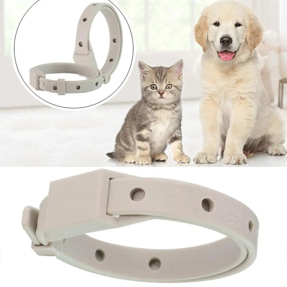Anti Flea Tick Collar for Cats and Dogs 8 Month Protection