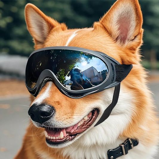 Outdoor Dog Goggles UV Protection For Large Dogs Windproof