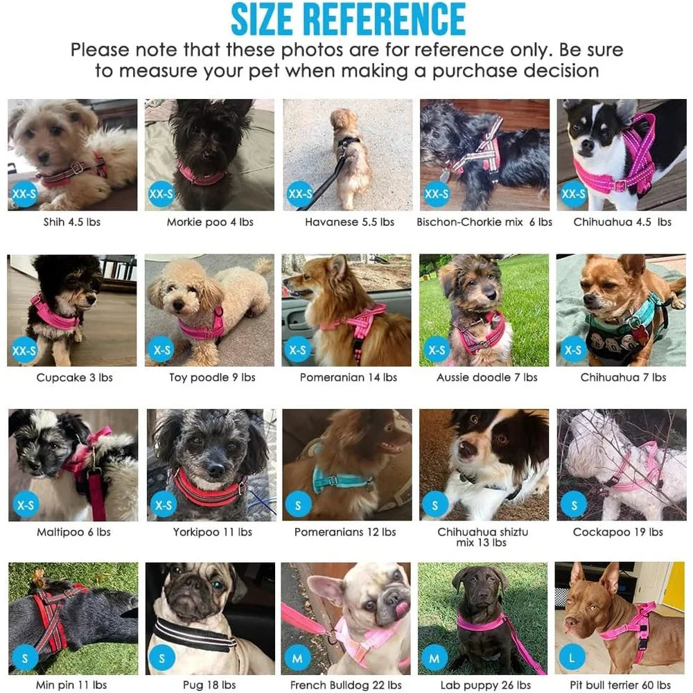 Soft Padded Dog Harness Leash Set Adjustable Reflective Vest Small Dogs Quick Fit Neck Chest Safe Walking 4ft Leash