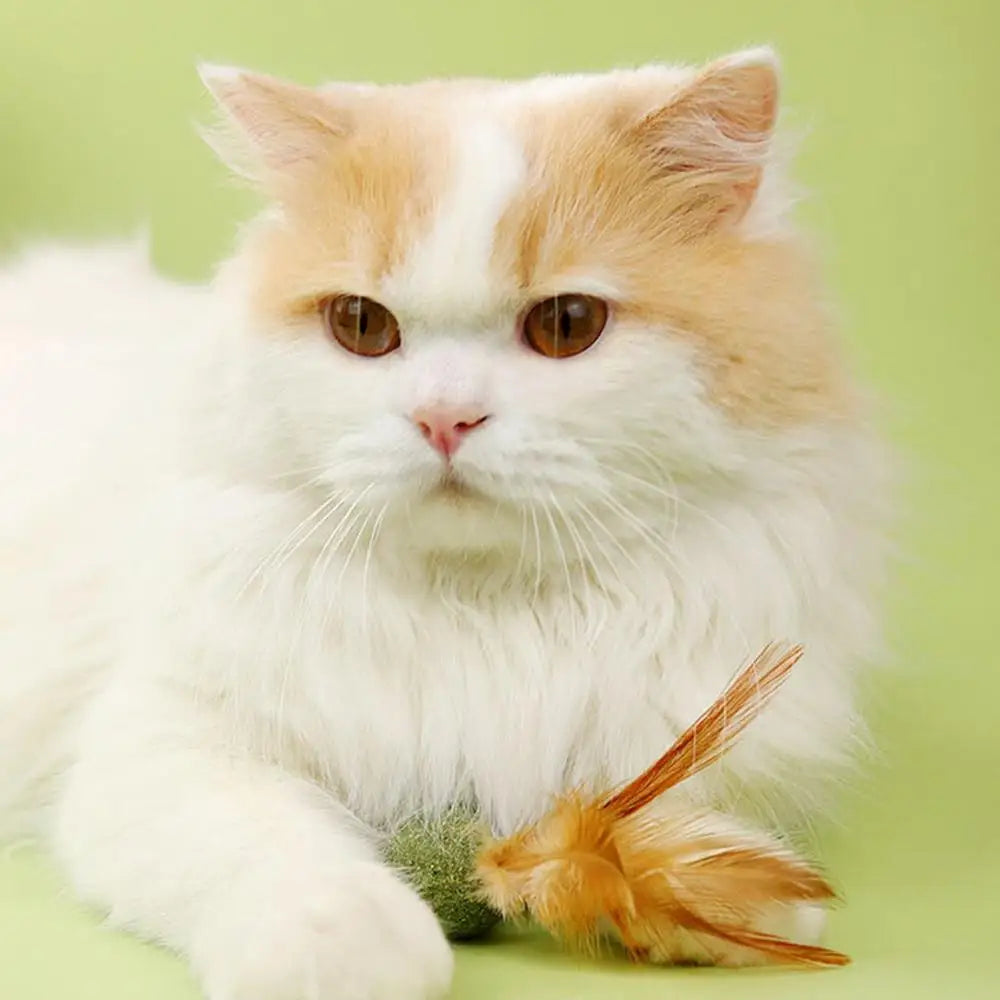 Choice Catnip Feather Balls Lickable Grass Snack Kitten Toys