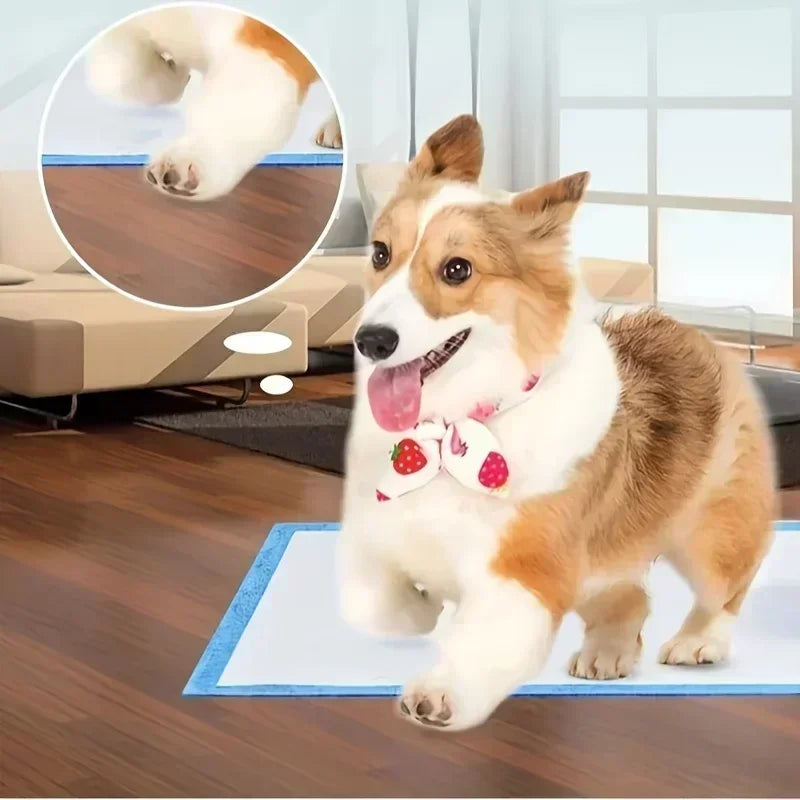 100/50/40/20PCS Absorbent Dogs Diapers Disposable Puppy Training Pee Pads Quick Dry Surface Mat Clean Cushion Dog Supplies