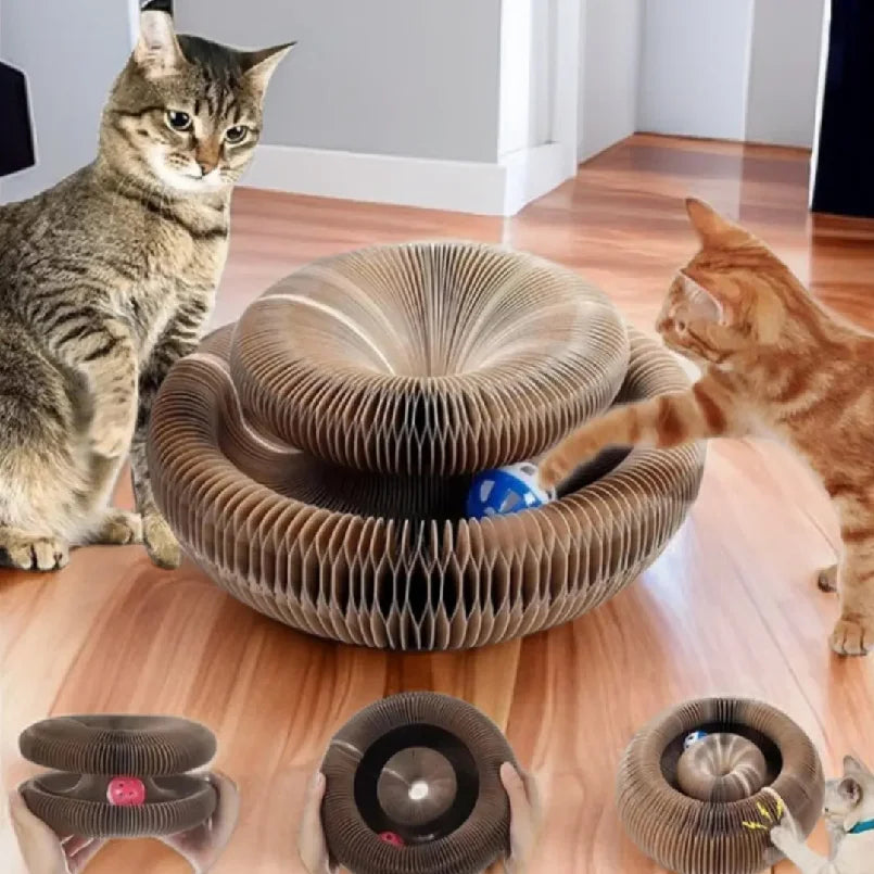 Foldable Cat Scratching Board Toy For Kittens Durable Recyclable Cardboard