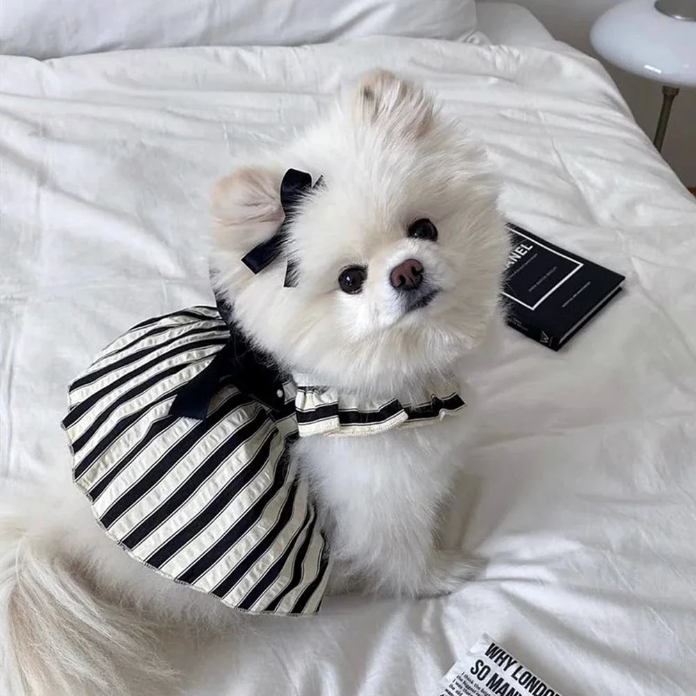 Sichuan Zhejiang CN Dog Princess Dress Striped Big Bow Fashion