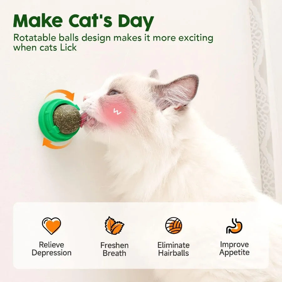 Catnip Balls Toys 4 Pcs Extra Energy Edible Silvervine Toys for Healthy Kitten Teeth Cleaning