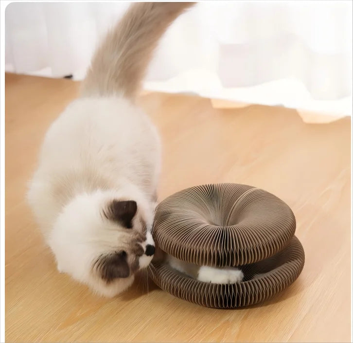 Foldable Cat Scratching Board Toy For Kittens Durable Recyclable Cardboard