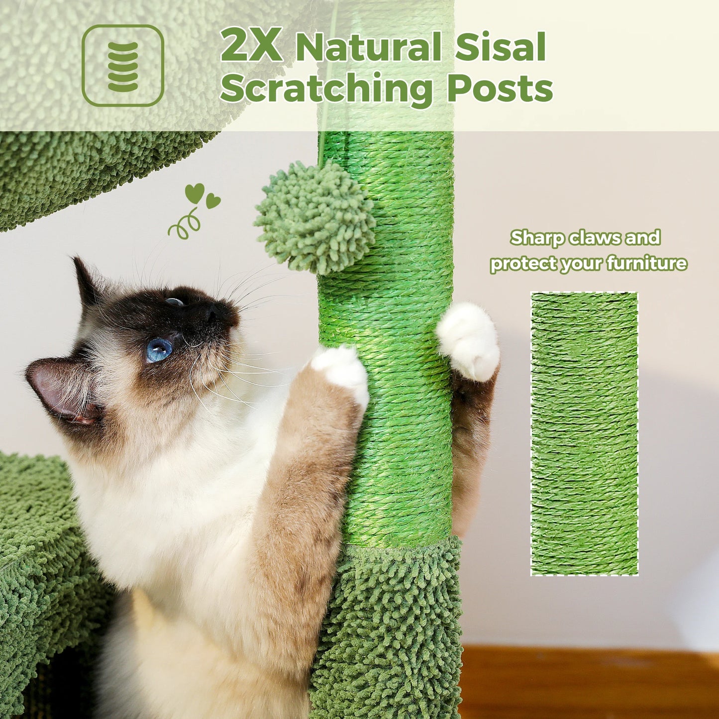 PEQULTICN Cactus Cat Tree Indoor Condo And Hammock Stand