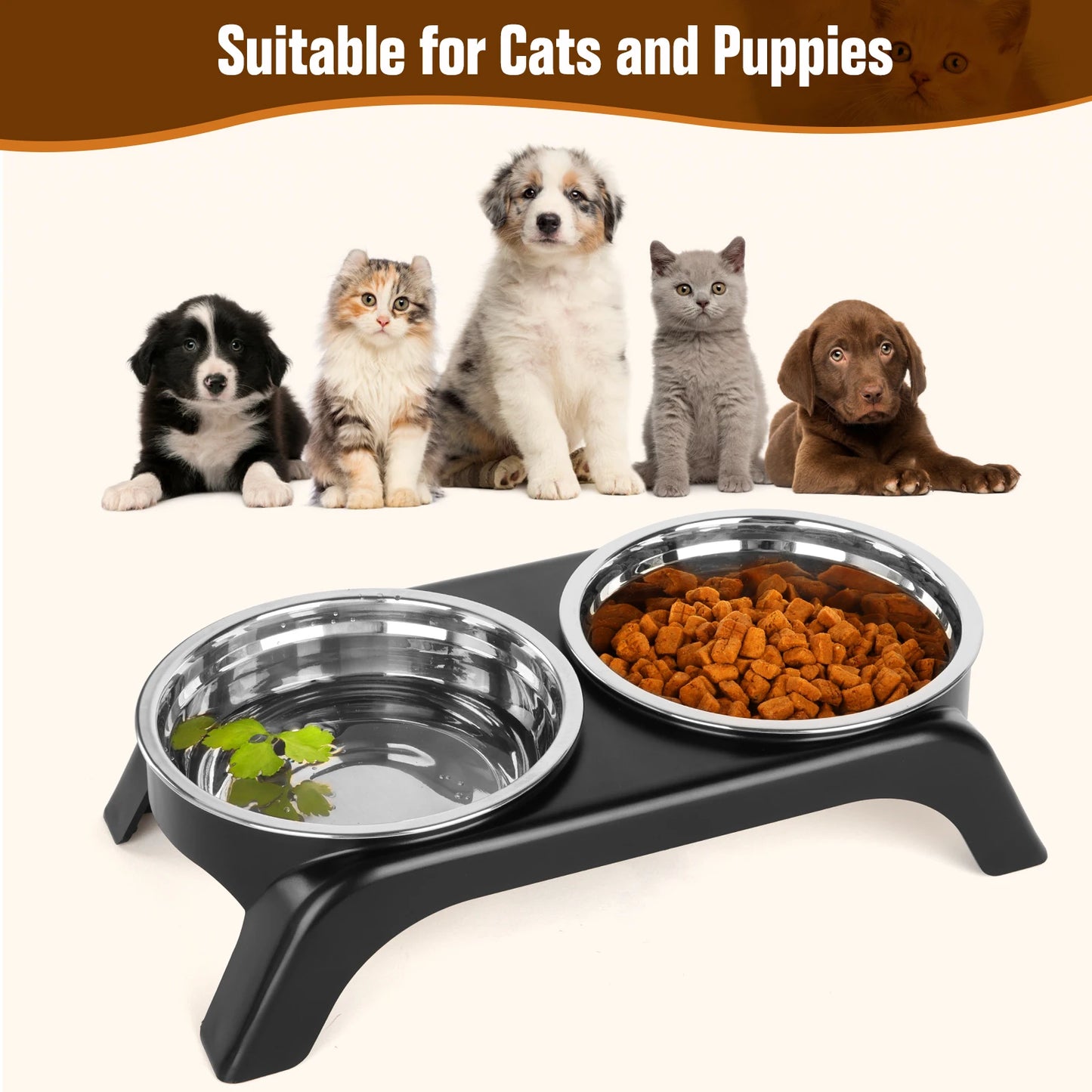 Choice Elevated Stainless Steel Raised Cat Bowls ABS Stand