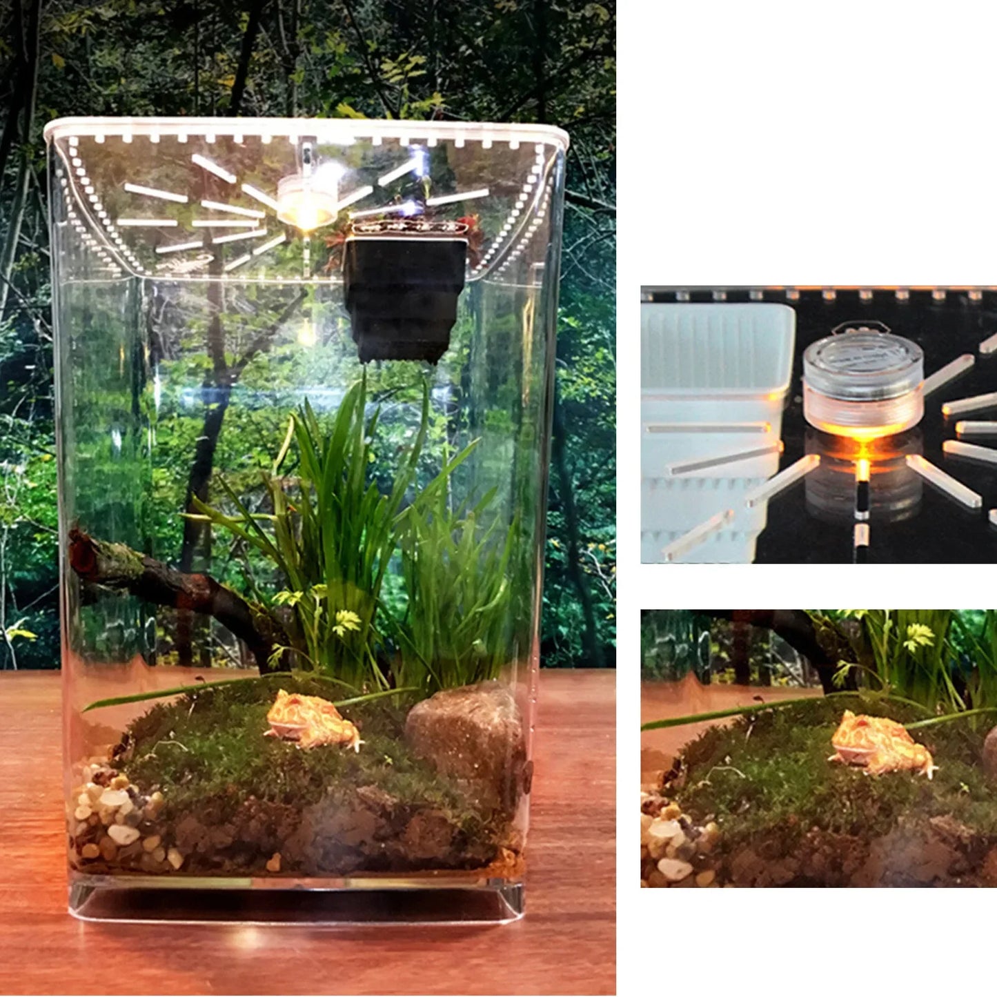 Large Acrylic Reptile Terrarium Gecko Lizard Enclosure