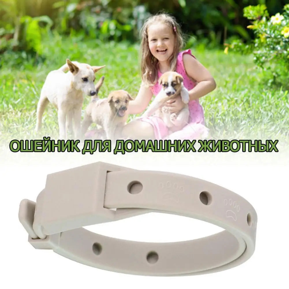 Anti Flea Tick Collar for Cats and Dogs 8 Month Protection