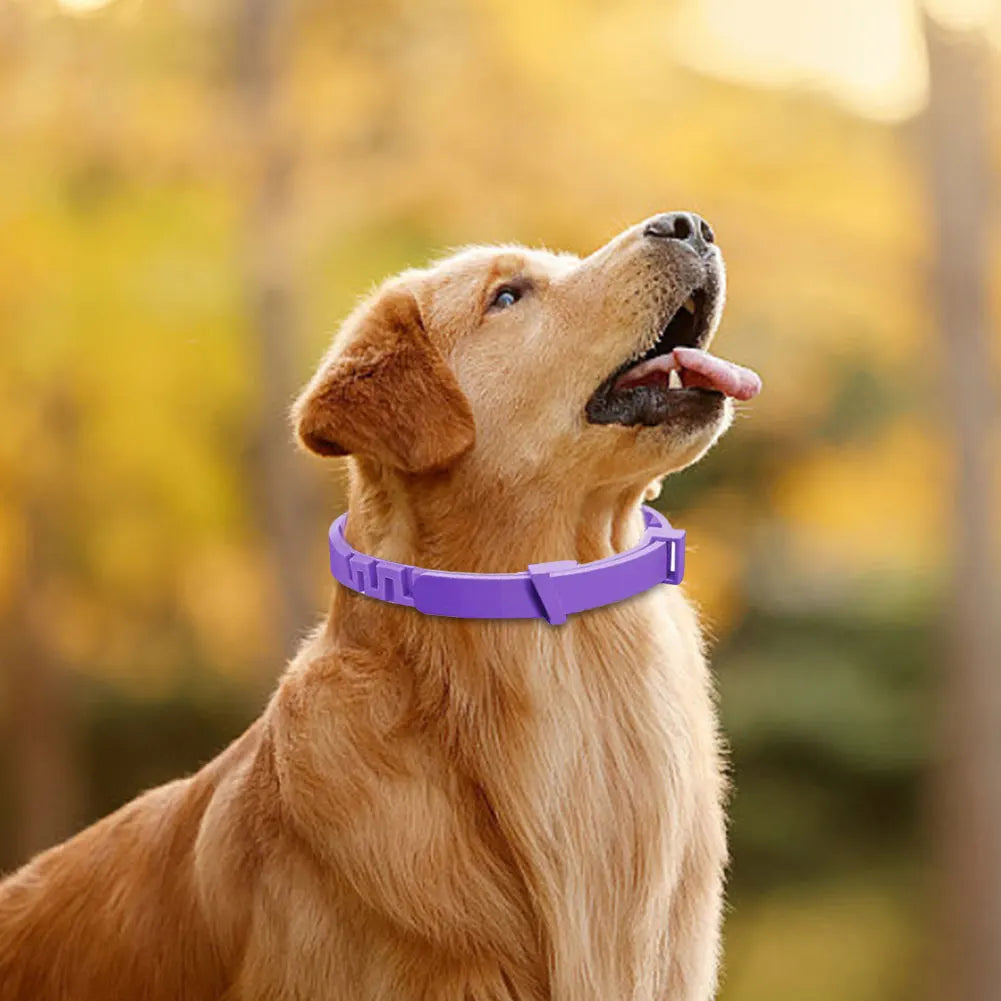 Winnereco Pet Calming Collar Stress And Anxiety Relief