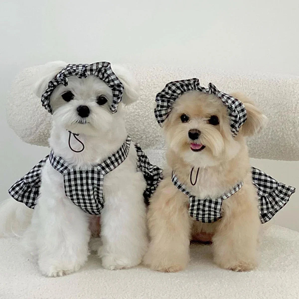 WAOPETCN Fashion Dog Clothes Plaid Skirt With Hat Set