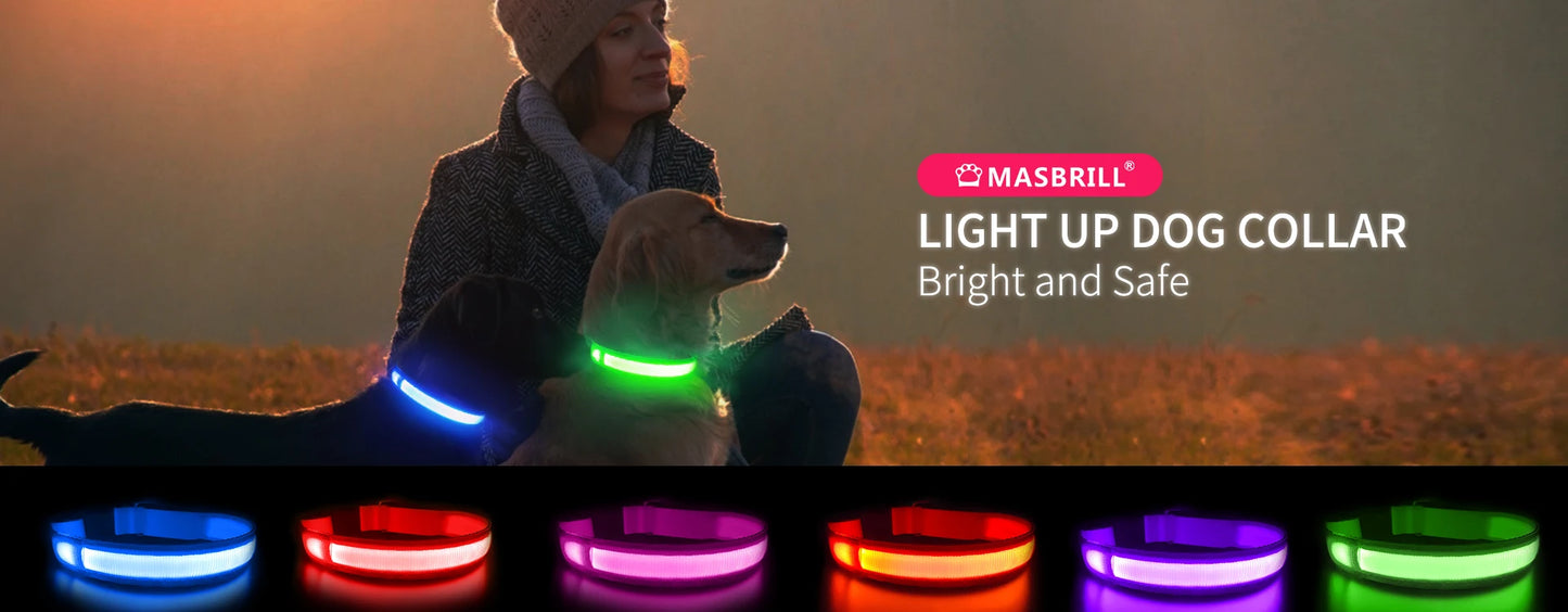 MASBRILL LED Dog Collar Luminous Pet Supplies Dog Collar Waterpoof Safety Glow Necklace Flashing Lighting Up Collars Accessories