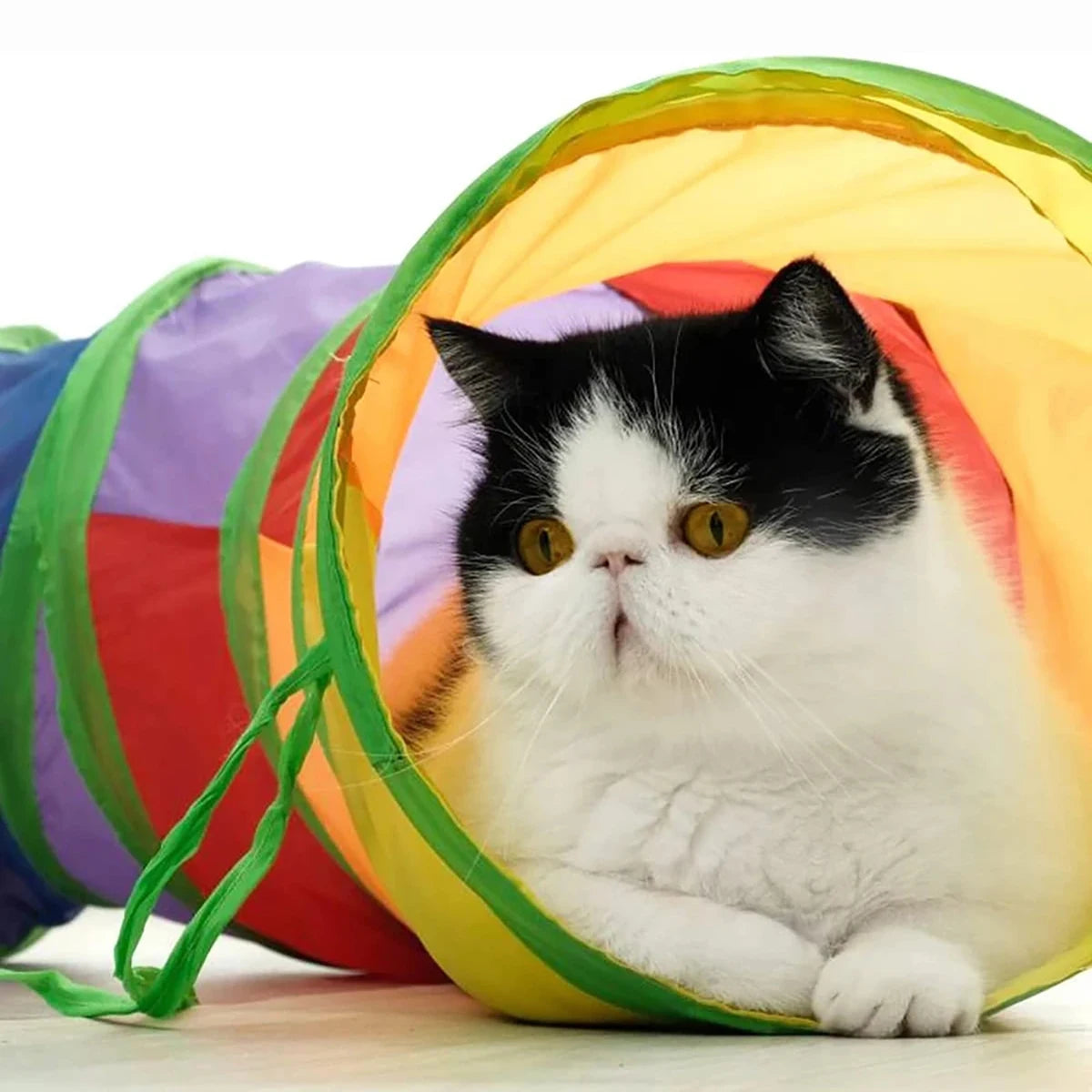 Cat Tunnel Tube Foldable Cat Toys For Interactive Fun