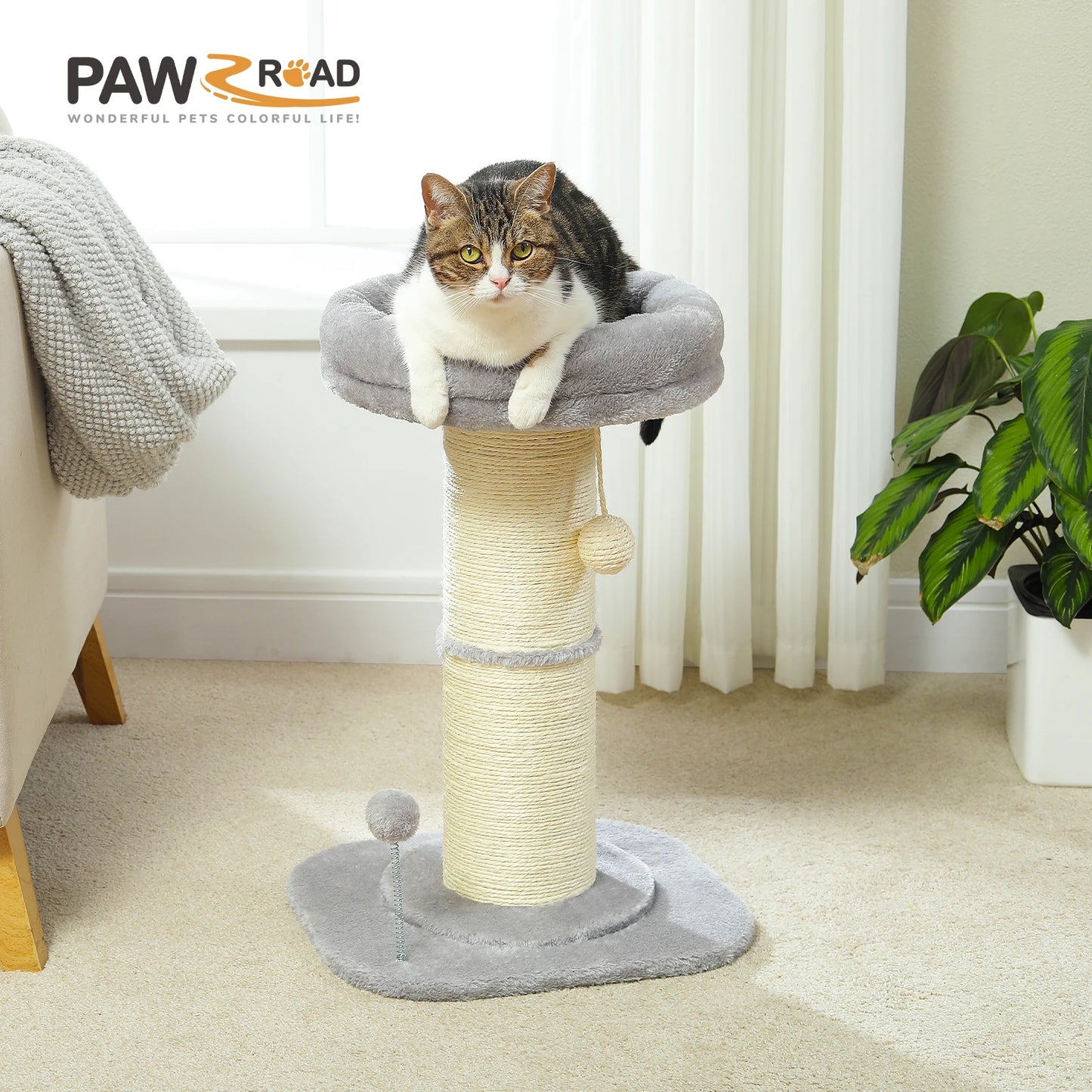 PAWZ Road Flower Cat Scratching Post With Removable Bed Indoor Cat Tower