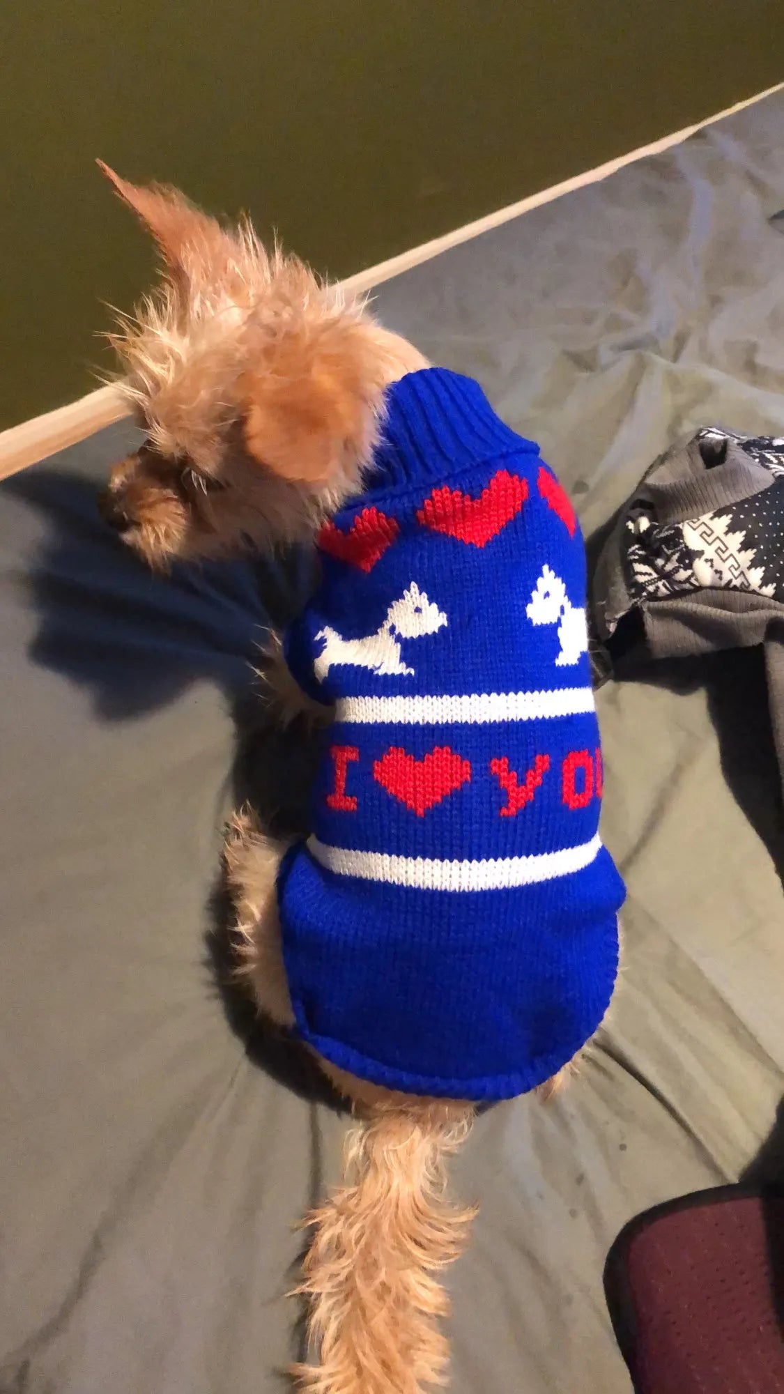 Hubei Dog Winter Sweater Knit Coat For Canine Comfort