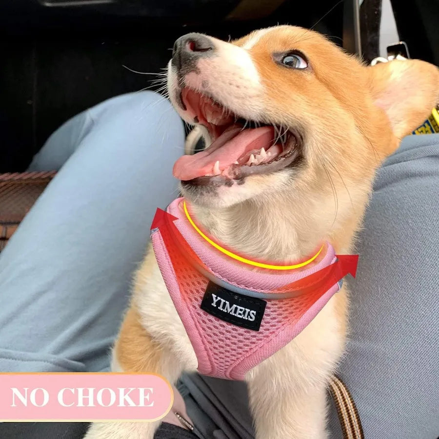 High-concerned Dog Harness And Leash Set No Pull Reflective Mesh