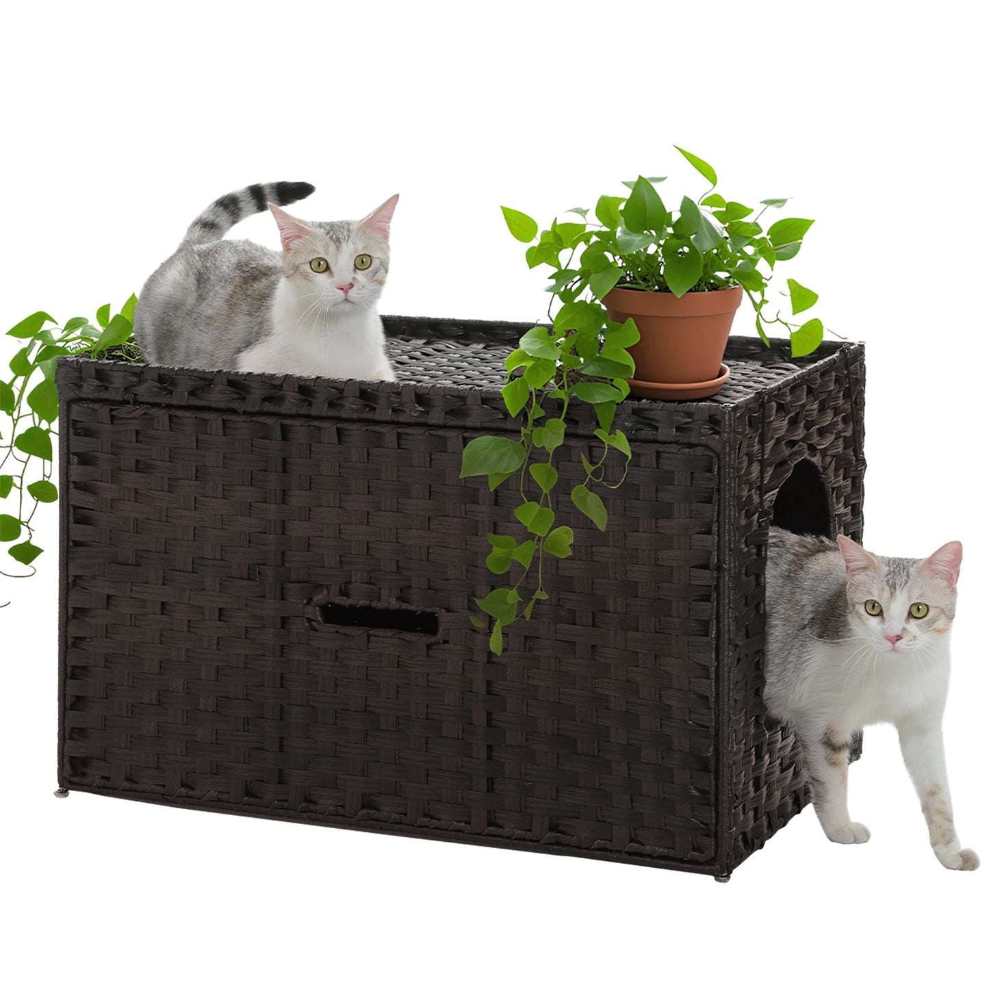 PEQULTICN Rattan Cat Litter Box Enclosure With Tall Doorway