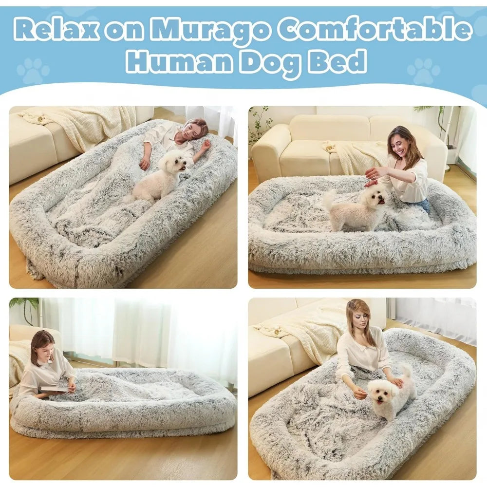 Orthopedic Dog Bed With Removable Cover