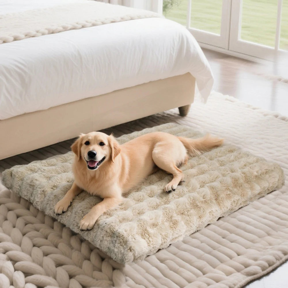 BORWARTCN Ultra Plush Dog Bed Soft Cushion Washable Mat