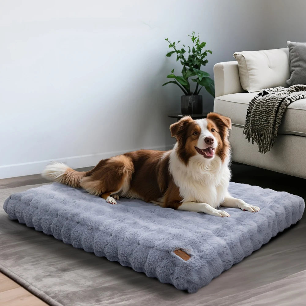 BORWARTCN Ultra Plush Dog Bed Soft Cushion Washable Mat