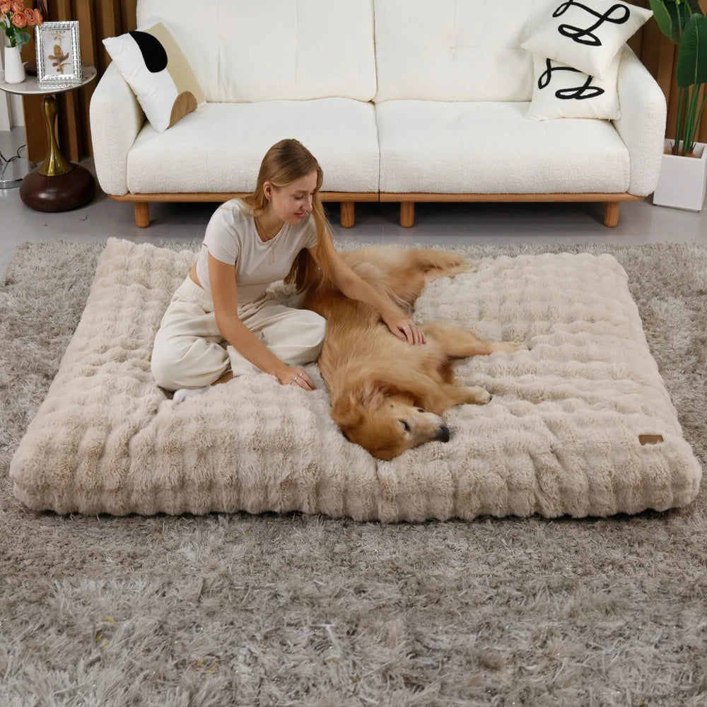 BORWARTCN Ultra Plush Dog Bed Soft Cushion Washable Mat