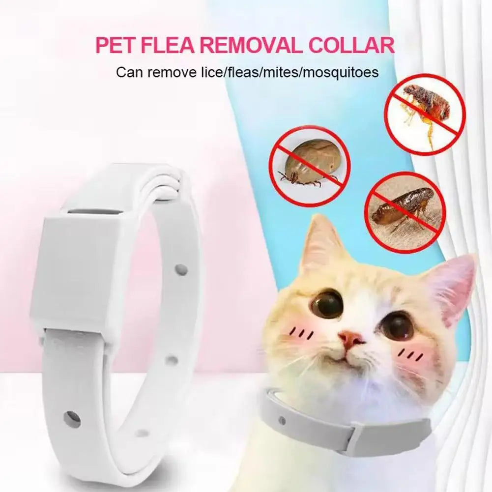 Anti Flea Tick Collar for Cats and Dogs 8 Month Protection