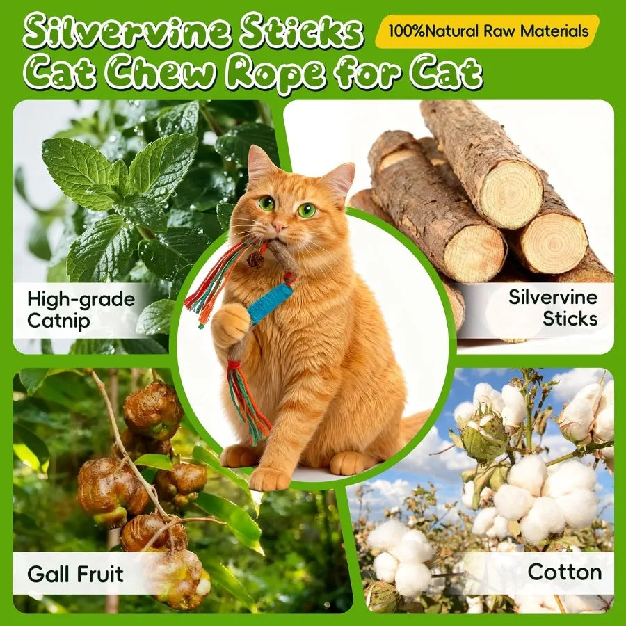 Silvervine Cat Chew Rope Toy With Refillable Catnip Bag For Teeth Cleaning