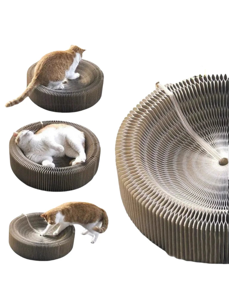 Foldable Cat Scratching Board Toy For Kittens Durable Recyclable Cardboard