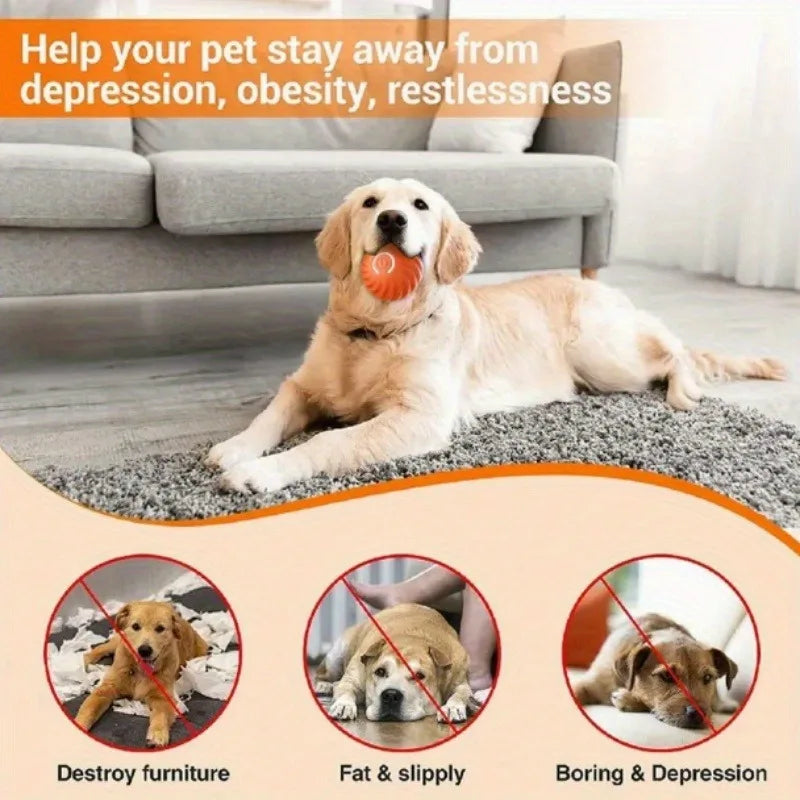 1 5 10PCS Blue Orange Pet Toy Ball Plastic Rechargeable Cat and Dog Toy for Home and Outdoors