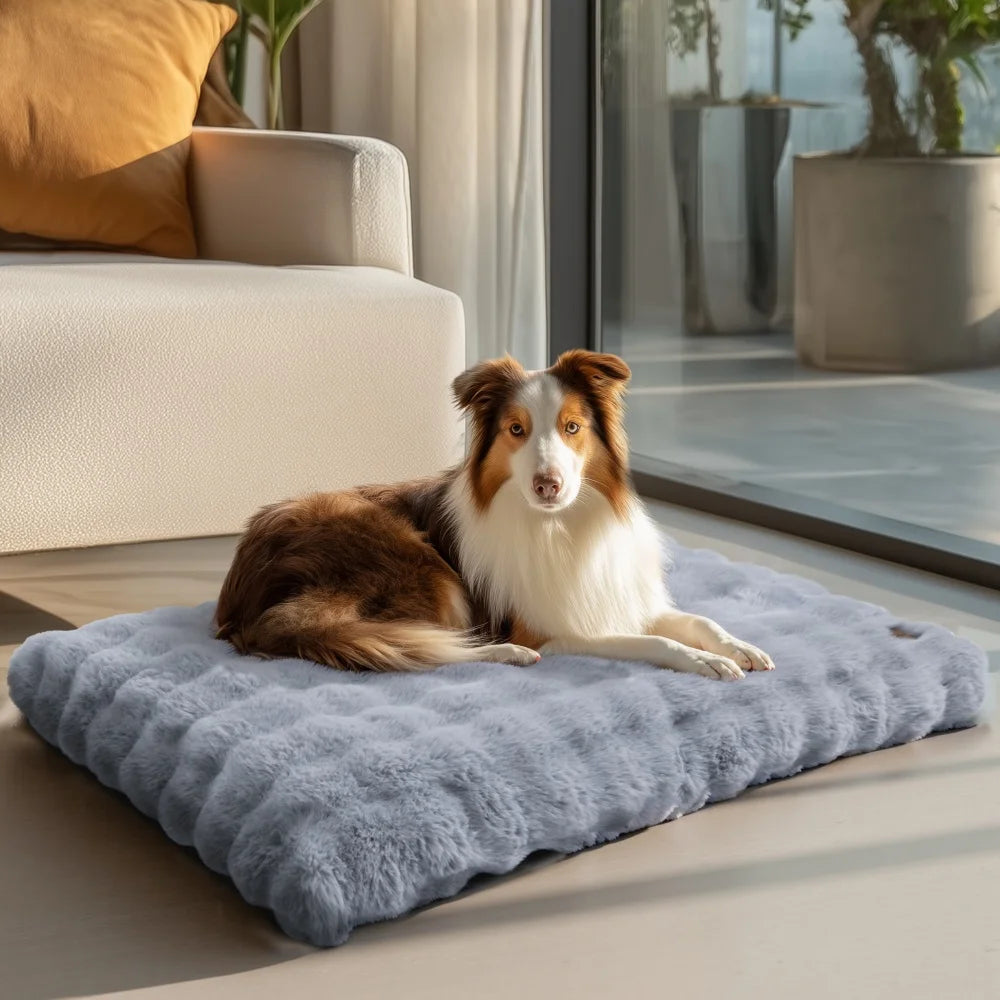 BORWARTCN Ultra Plush Dog Bed Soft Cushion Washable Mat