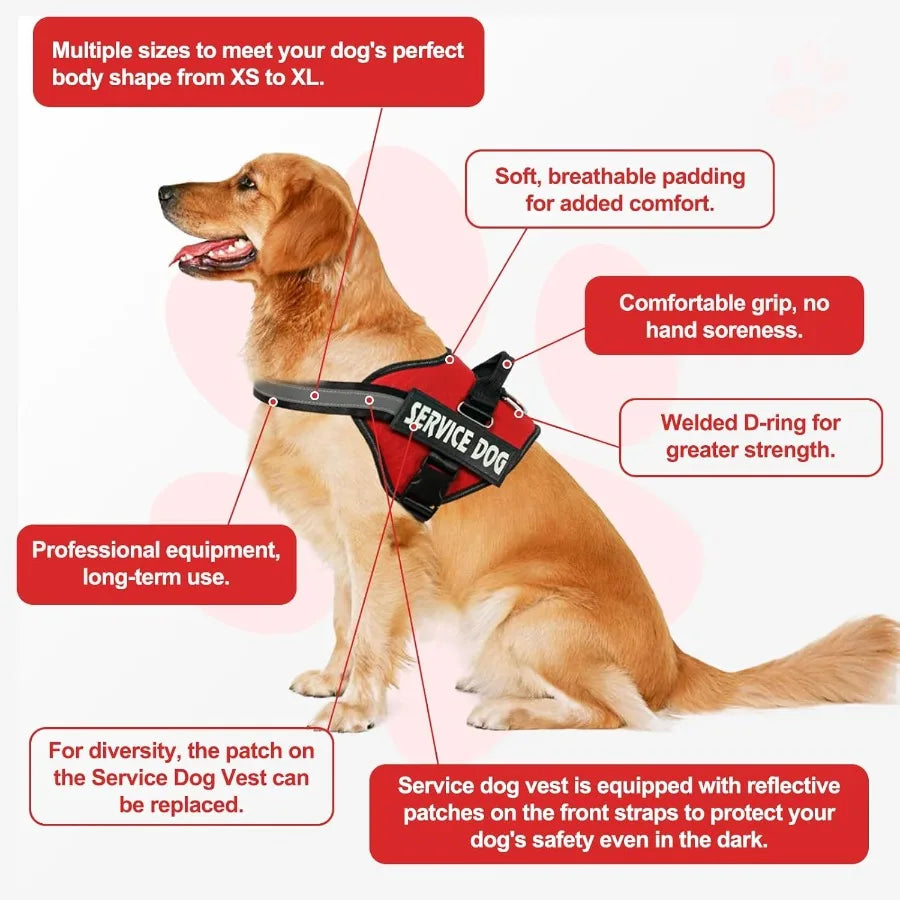 High-concerned Service Dog Vest Harness With ID Tag And Leash