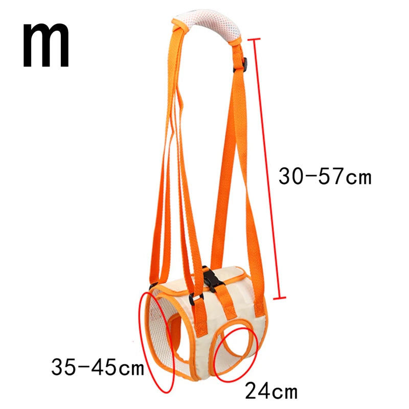 ZhejiangChoice Dog Hind Leg Belt Postoperative Rehab Aid