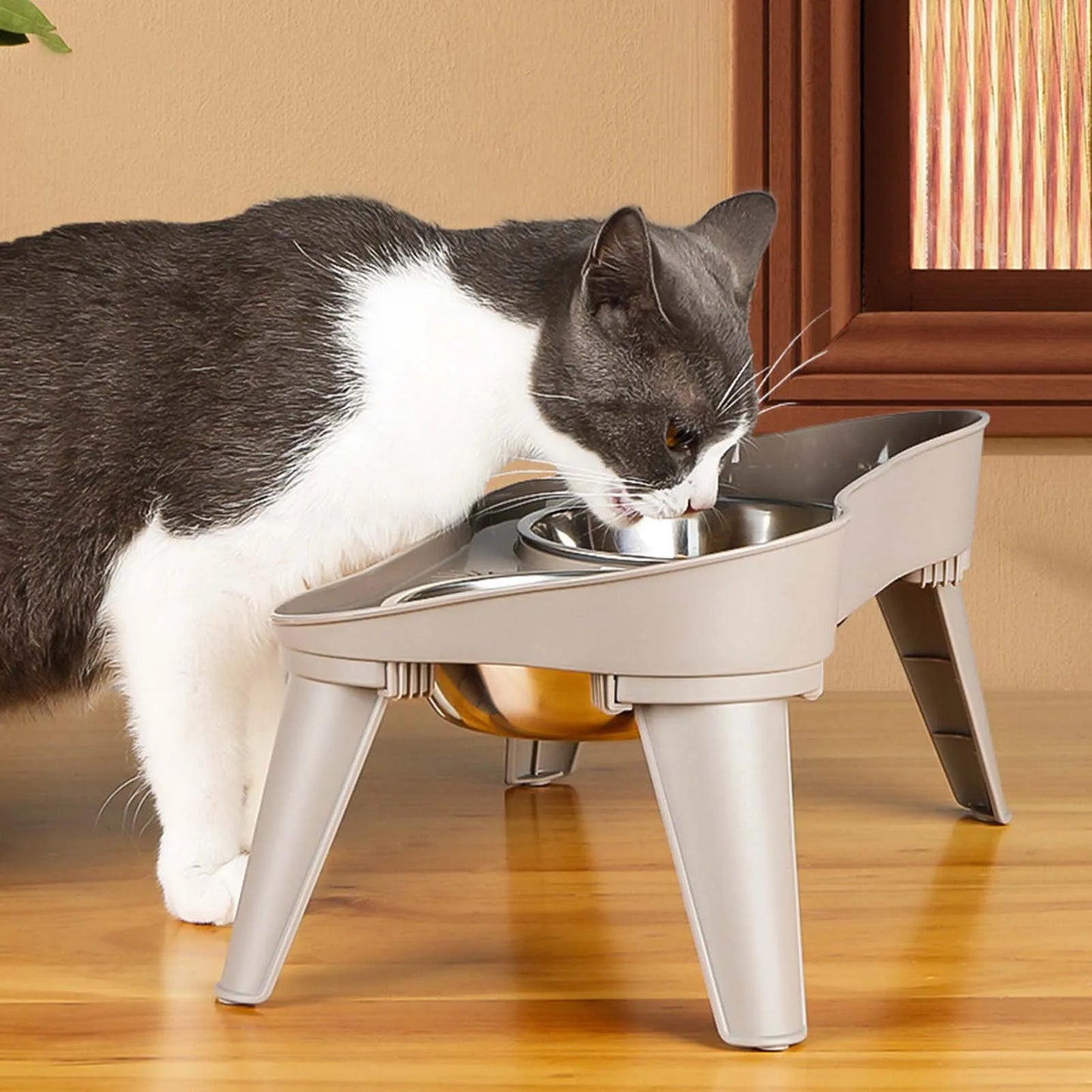 Raised Stand Elevated Dog Feeder Non Slip No Spill Design Stainless Steel Bowl Pet Supplies
