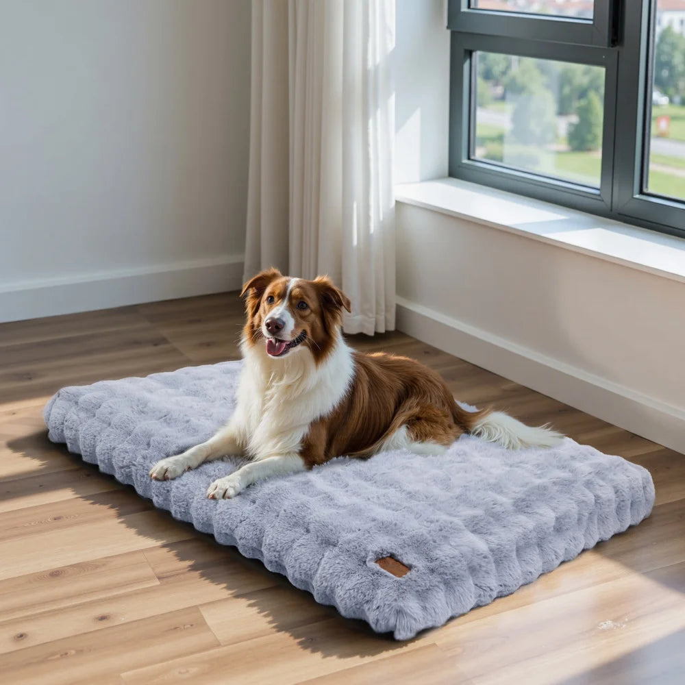 BORWARTCN Ultra Plush Dog Bed Soft Cushion Washable Mat