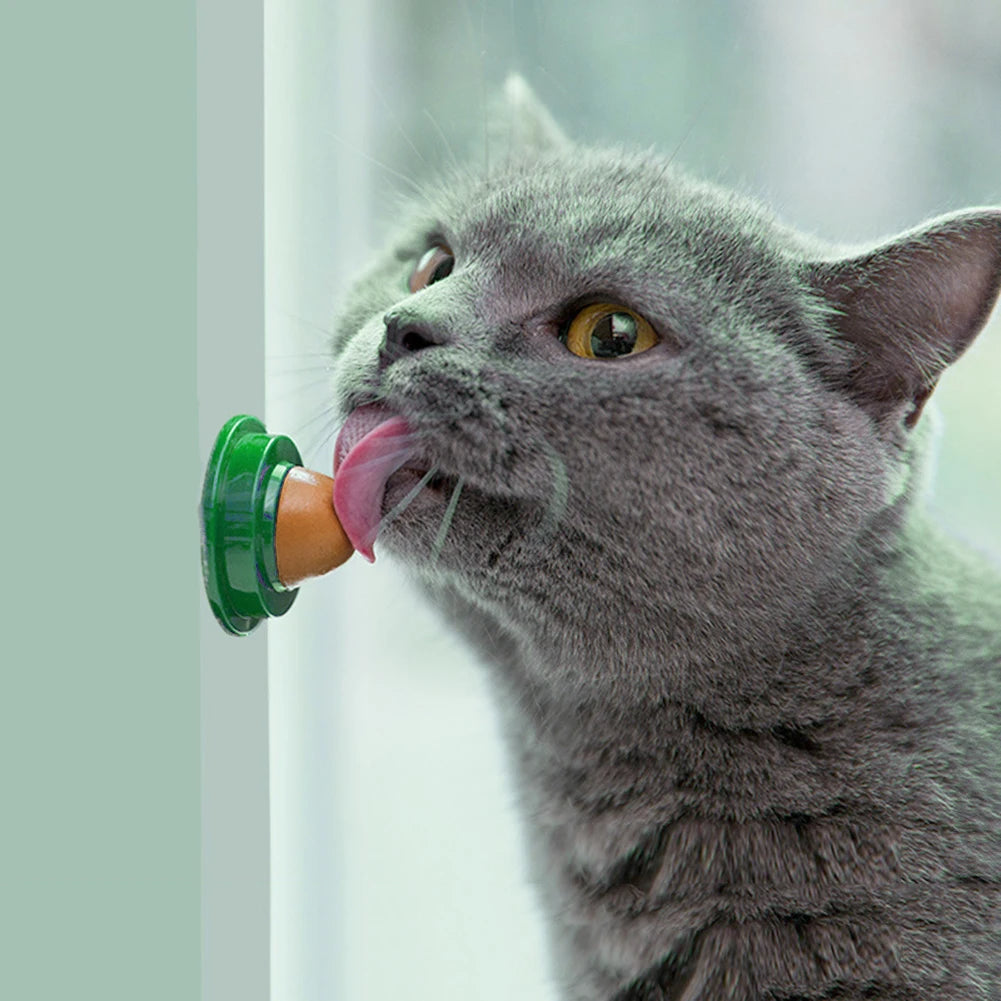 Catnip Wall Ball Lickable Treats Digestion 5 Or 10 Pieces