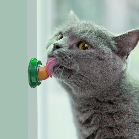 Catnip Wall Ball Lickable Treats Digestion 5 Or 10 Pieces
